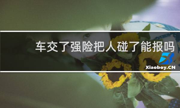 车交了强险把人碰了能报吗图片