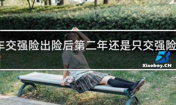 车交强险出险后第二年还是只交强险可以吗