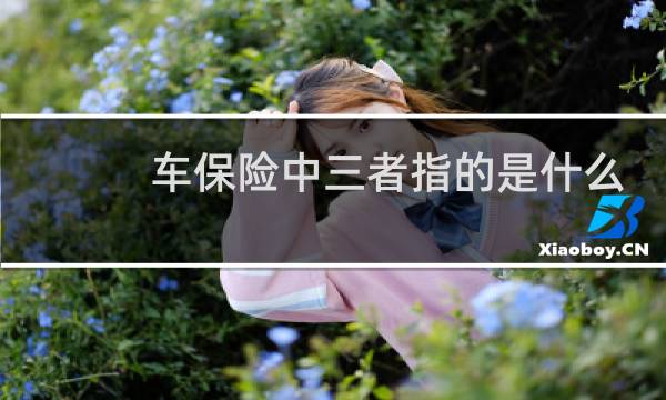 车保险中三者指的是什么