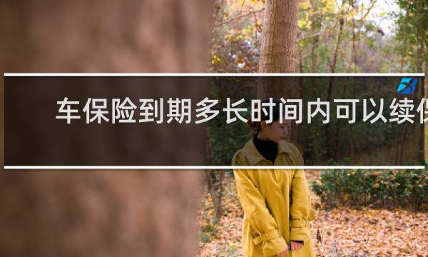 车保险到期多长时间内可以续保