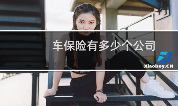 车保险有多少个公司