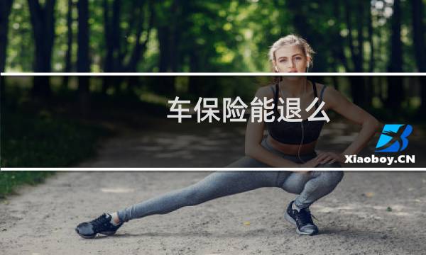 车保险能退么