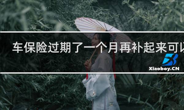 车保险过期了一个月再补起来可以吗