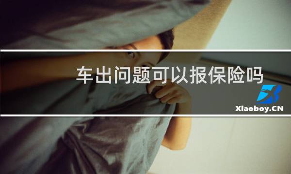车出问题可以报保险吗