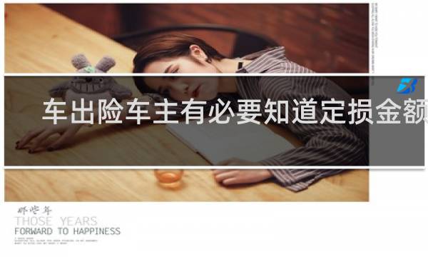 车出险车主有必要知道定损金额吗图片