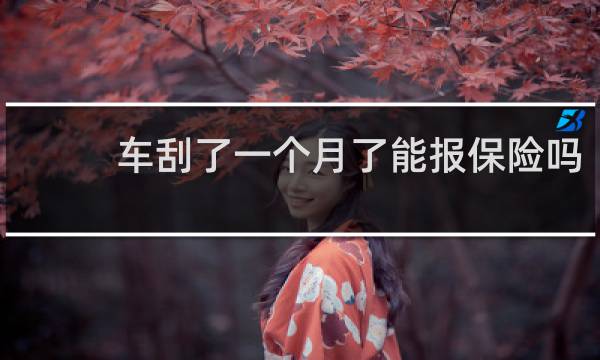 车刮了一个月了能报保险吗