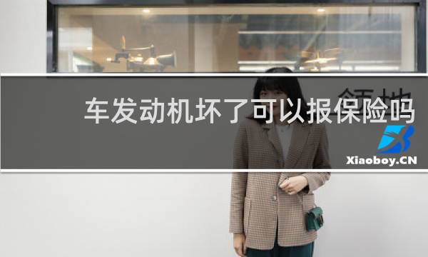 车发动机坏了可以报保险吗