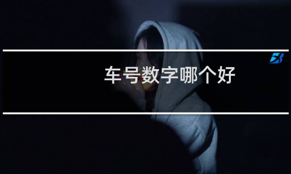 车号数字哪个好（选择车牌号的基本技巧）