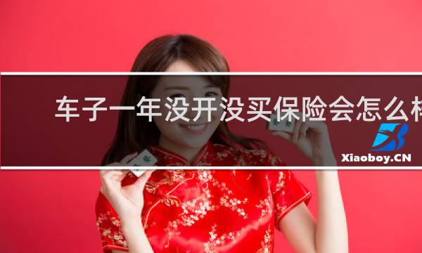 车子一年没开没买保险会怎么样