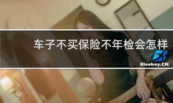 车子不买保险不年检会怎样