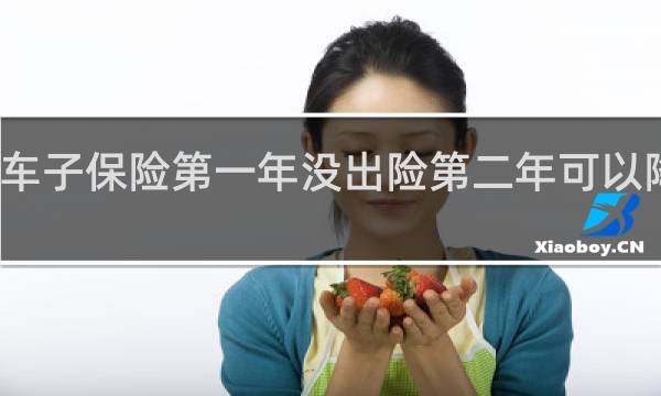 车子保险第一年没出险第二年可以降价吗图片