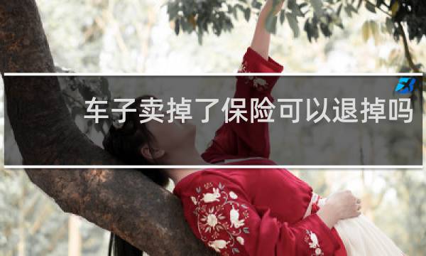 车子卖掉了保险可以退掉吗