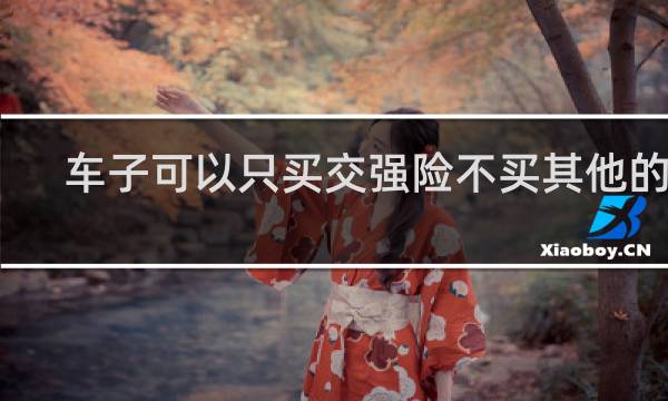 车子可以只买交强险不买其他的吗
