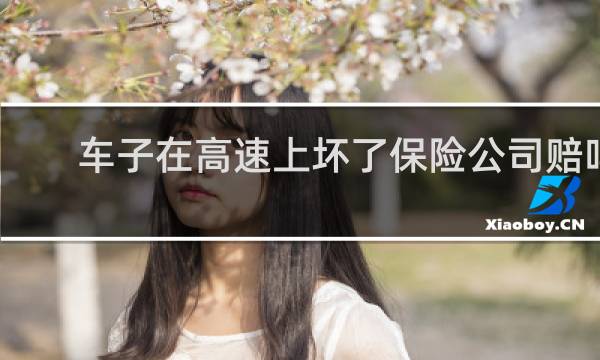 车子在高速上坏了保险公司赔吗