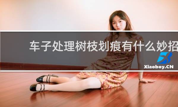 车子处理树枝划痕有什么妙招