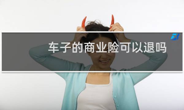 车子的商业险可以退吗图片