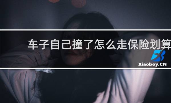 车子自己撞了怎么走保险划算