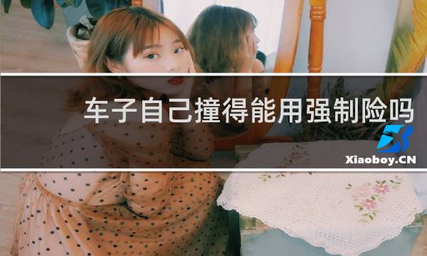 车子自己撞得能用强制险吗