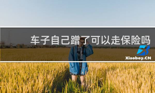 车子自己蹭了可以走保险吗