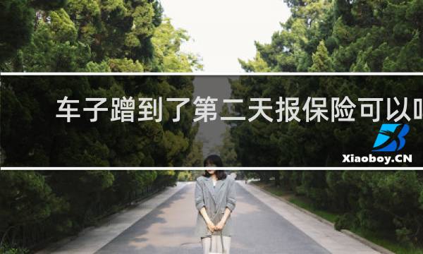 车子蹭到了第二天报保险可以吗