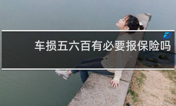 车损五六百有必要报保险吗