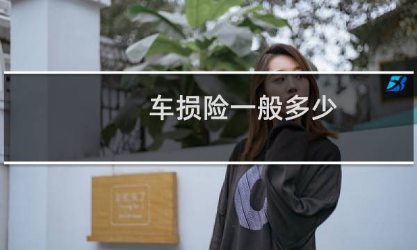 车损险一般多少