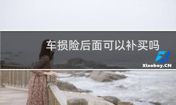 车损险后面可以补买吗