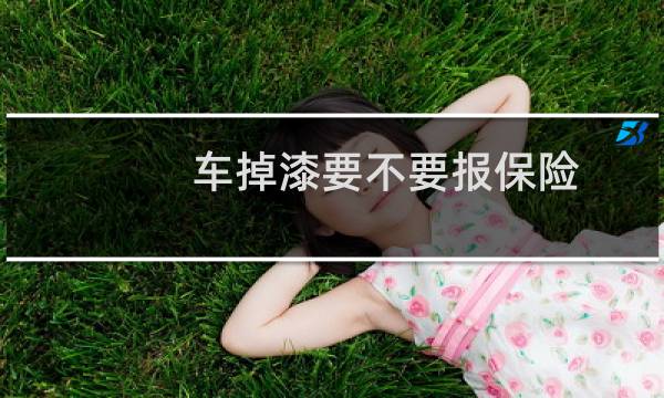 车掉漆要不要报保险图片