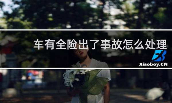 车有全险出了事故怎么处理