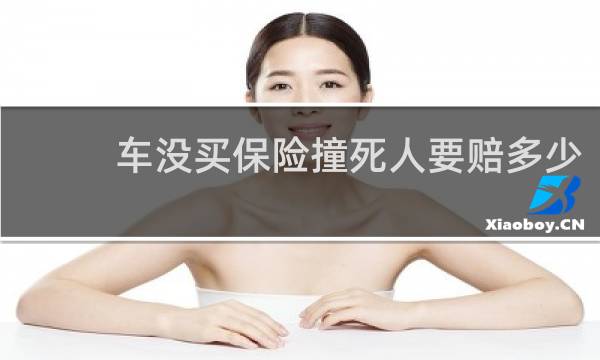 车没买保险撞死人要赔多少