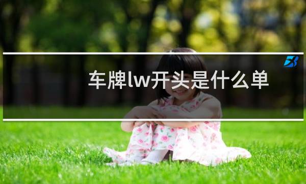 车牌lw开头是什么单位的牌子（车牌lw开头是什么单位）图片