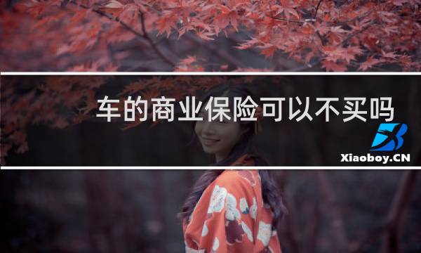 车的商业保险可以不买吗