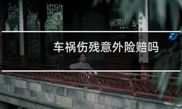 车祸伤残意外险赔吗图片