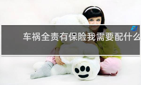 车祸全责有保险我需要配什么