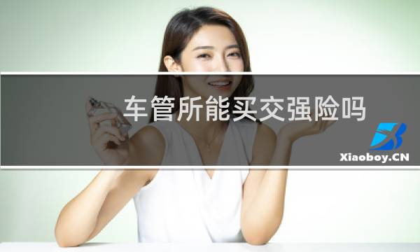 车管所能买交强险吗