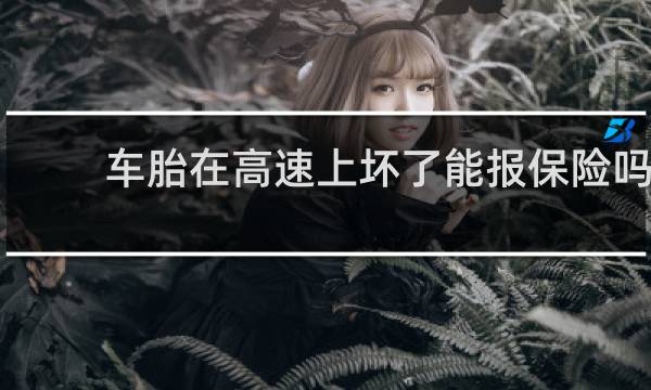 车胎在高速上坏了能报保险吗