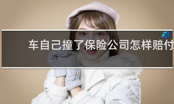 车自己撞了保险公司怎样赔付