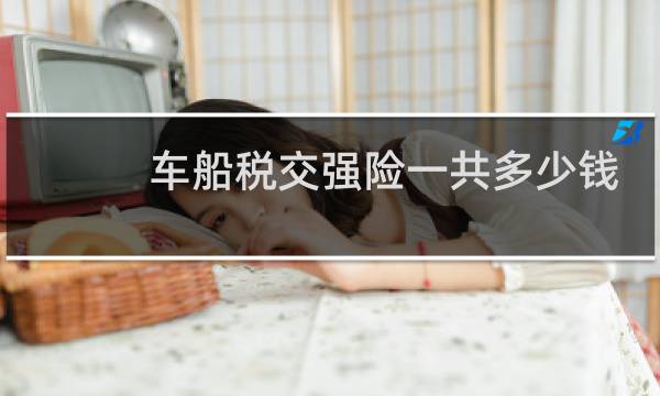 车船税交强险一共多少钱