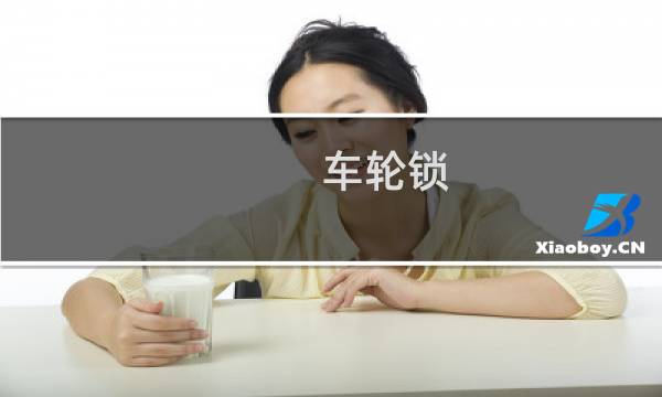 车轮锁