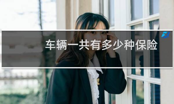 车辆一共有多少种保险