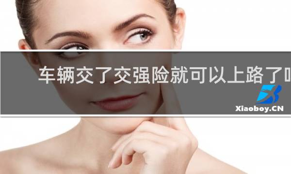 车辆交了交强险就可以上路了吗