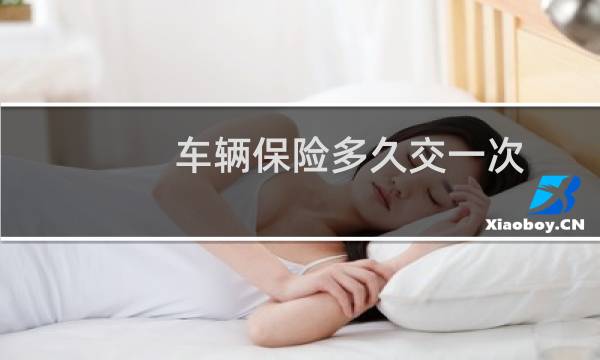 车辆保险多久交一次图片