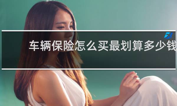 车辆保险怎么买最划算多少钱图片