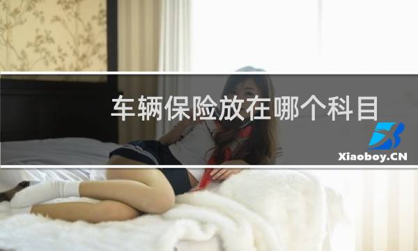 车辆保险放在哪个科目