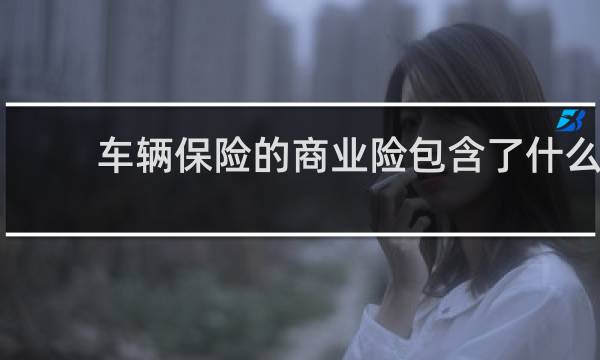 车辆保险的商业险包含了什么