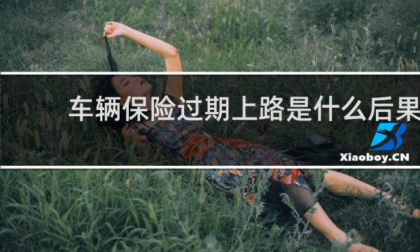 车辆保险过期上路是什么后果