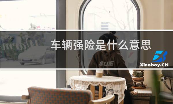 车辆强险是什么意思