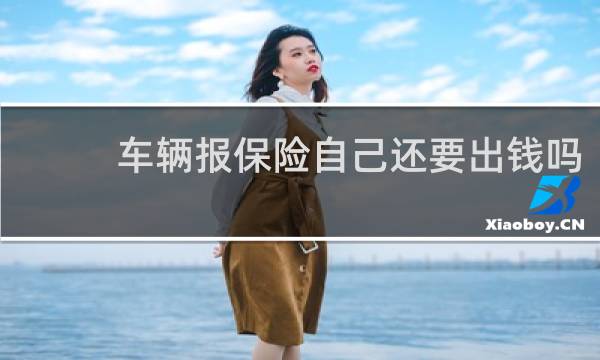 车辆报保险自己还要出钱吗