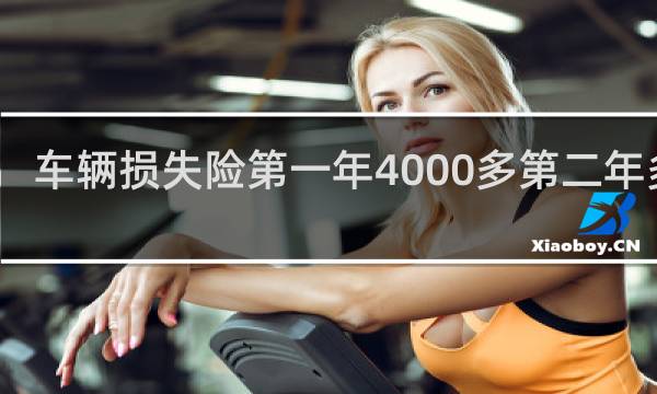 车辆损失险第一年4000多第二年多少