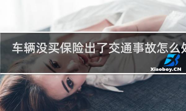 车辆没买保险出了交通事故怎么处理